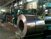 05.03.2013 - ������ �������� � �������� �� �� "�������"