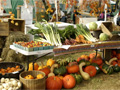 05.05.2010 - В Приморье отмечается снижение цен на продукты питания