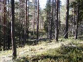 12.09.2012 - ���������� � ������ ������� ������������� ������� ��������� 1,8 ����. ������